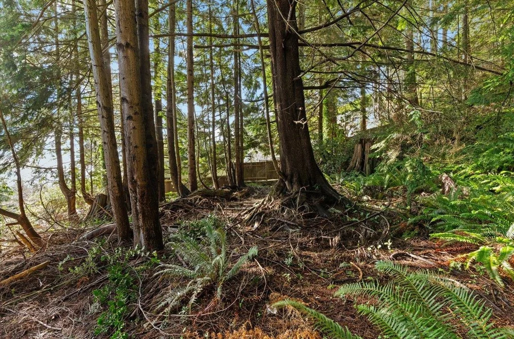 478 CRAIGMOHR DRIVE, West Vancouver BC V7S 1W6, West Vancouver BC — Land for Sale - Photo 7