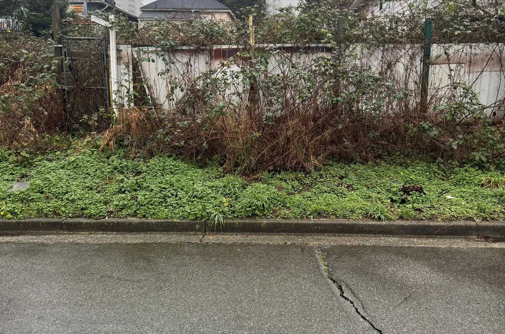 4811 MAITLAND STREET, Burnaby BC V5H 1N1, Burnaby BC — Residential for Sale - Photo 2