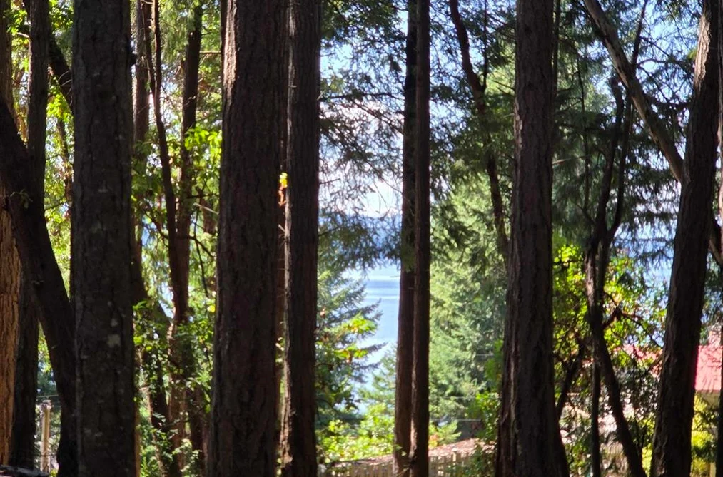 488 LETOUR ROAD, Mayne Island BC V0N 2J2, Mayne Island BC — Land for Sale - Photo 2