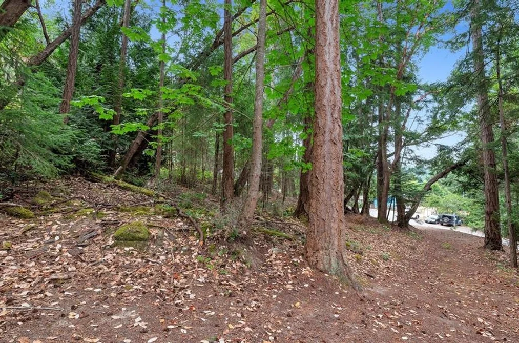 488 LETOUR ROAD, Mayne Island BC V0N 2J2, Mayne Island BC — Land for Sale - Photo 3