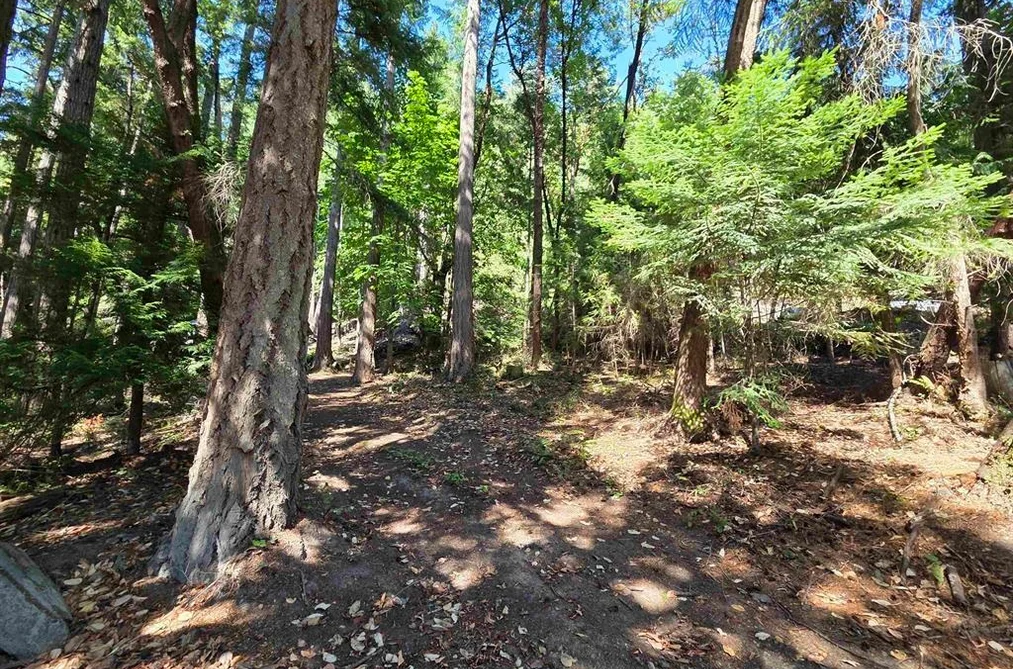 488 LETOUR ROAD, Mayne Island BC V0N 2J2, Mayne Island BC — Land for Sale - Photo 6