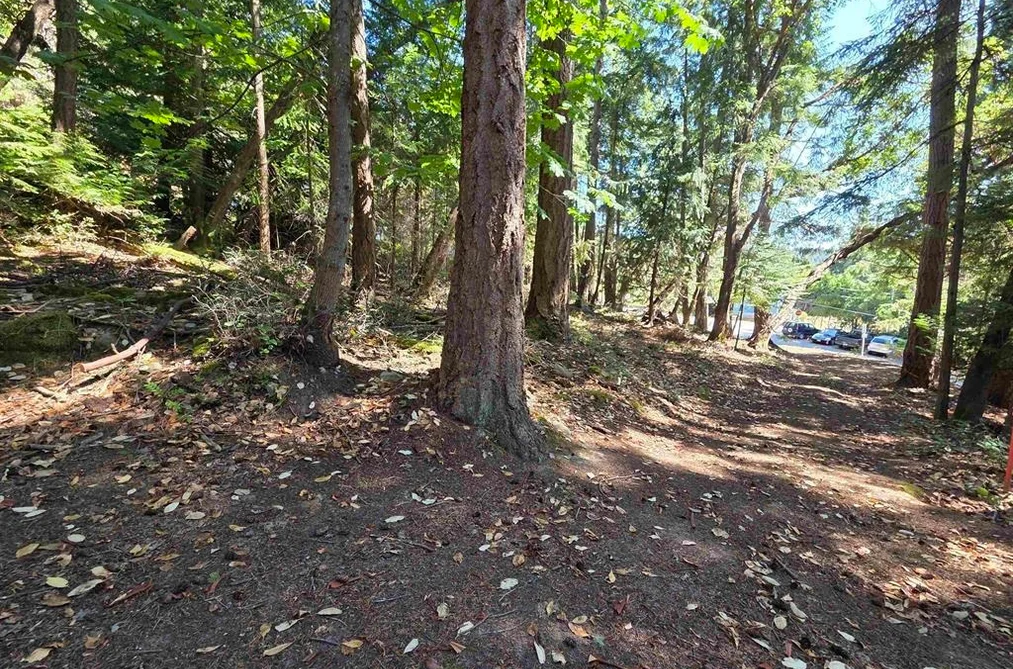 488 LETOUR ROAD, Mayne Island BC V0N 2J2, Mayne Island BC — Land for Sale - Photo 7