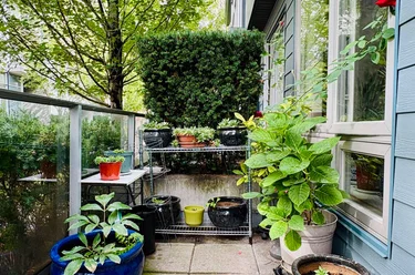 4886 Eldorado Mews, Vancouver, BC - MLS: R3054066