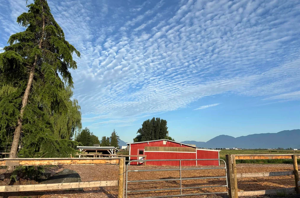 49517 PRAIRIE CENTRAL ROAD, Chilliwack BC V2P 6H3, Chilliwack BC — Residential for Sale — Photo 21 of 40