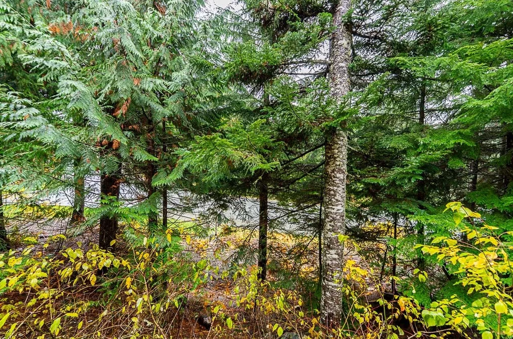 5 2240 NORDIC DRIVE DRIVE, Whistler BC V8E 0P3, Whistler BC — Residential for Sale — Photo 31 of 40