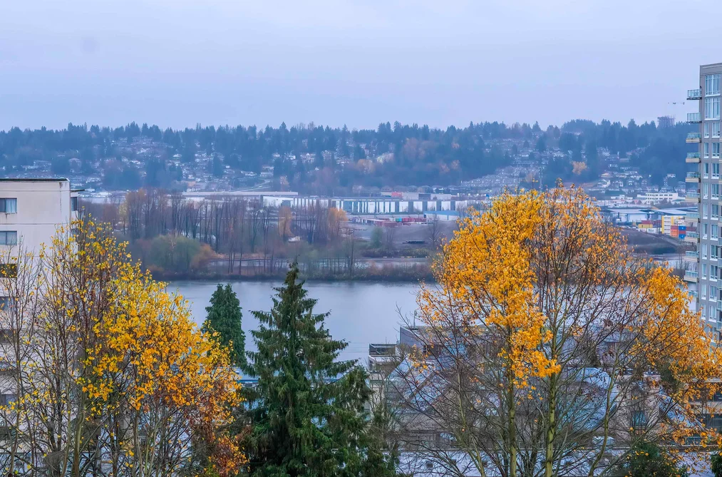 Condo for sale at 501 500 Royal Avenue New Westminster British Columbia - MLS: R3069809