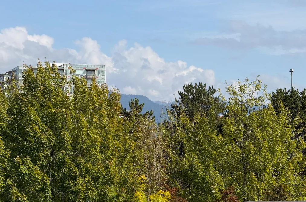 502 - 120 Milross Avenue, Vancouver, BC - MLS: R3178006 - Photo 30 502 - 120 Milross Avenue, Vancouver, BC - MLS: R3178006 - Photo 30