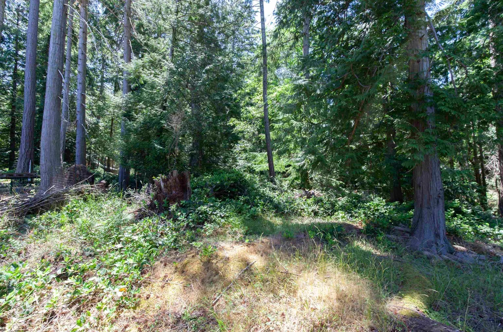 508 Aya Reach Road, Mayne Island, BC - MLS: R3133050 - Photo 26 508 Aya Reach Road, Mayne Island, BC - MLS: R3133050 - Photo 26