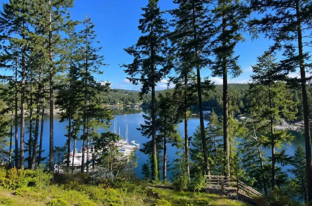 5099 JOHNSTONE ROAD, Madeira Park BC V9Y 5L9, Madeira Park BC — Residential for Sale - Photo 3