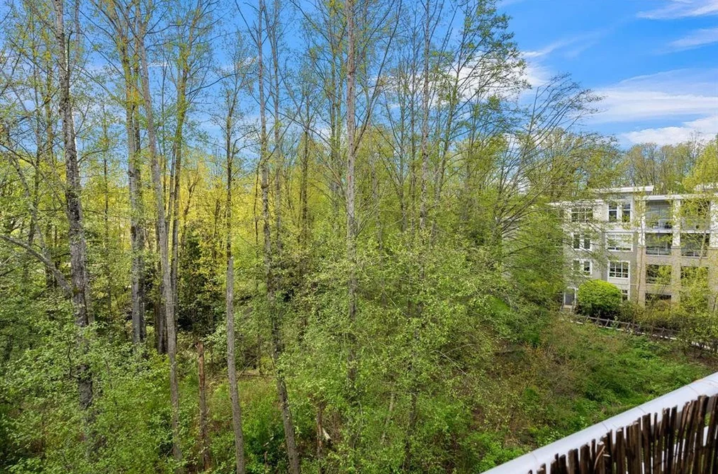 512 15436 31ST AVENUE, Surrey BC V3Z 1H3, Surrey BC — Residential for Sale - Photo 2