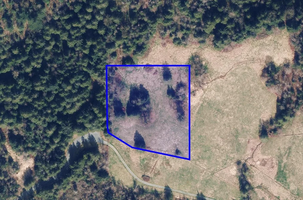 52300 ALLAN ROAD, Chilliwack BC V4Z 1L2, Chilliwack BC — Land for Sale - Photo 3