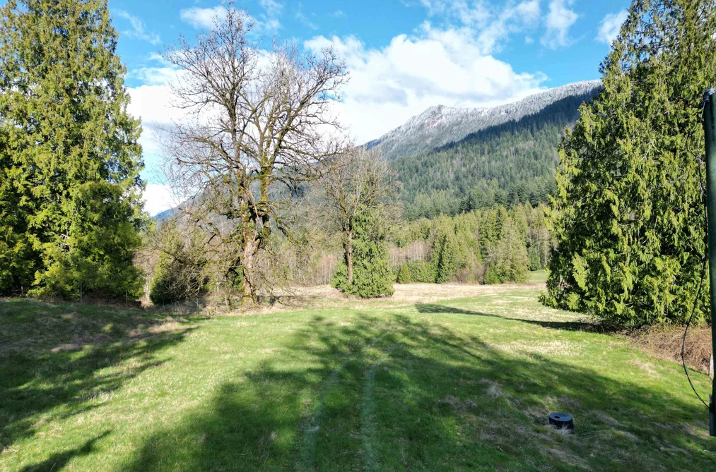 52300 ALLAN ROAD, Chilliwack BC V4Z 1L2, Chilliwack BC — Land for Sale - Photo 6