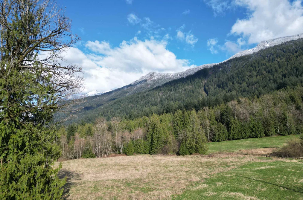 52300 ALLAN ROAD, Chilliwack BC V4Z 1L2, Chilliwack BC — Land for Sale - Photo 7