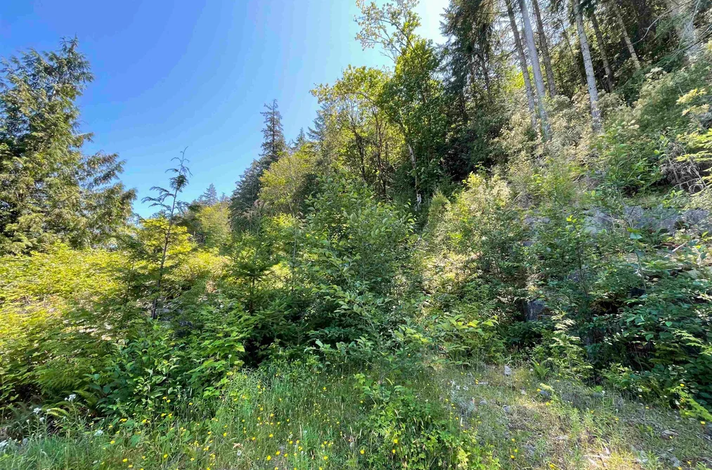 5232 CECIL HILL ROAD, Madeira Park BC V0N 2H0, Madeira Park BC — Land for Sale - Photo 6