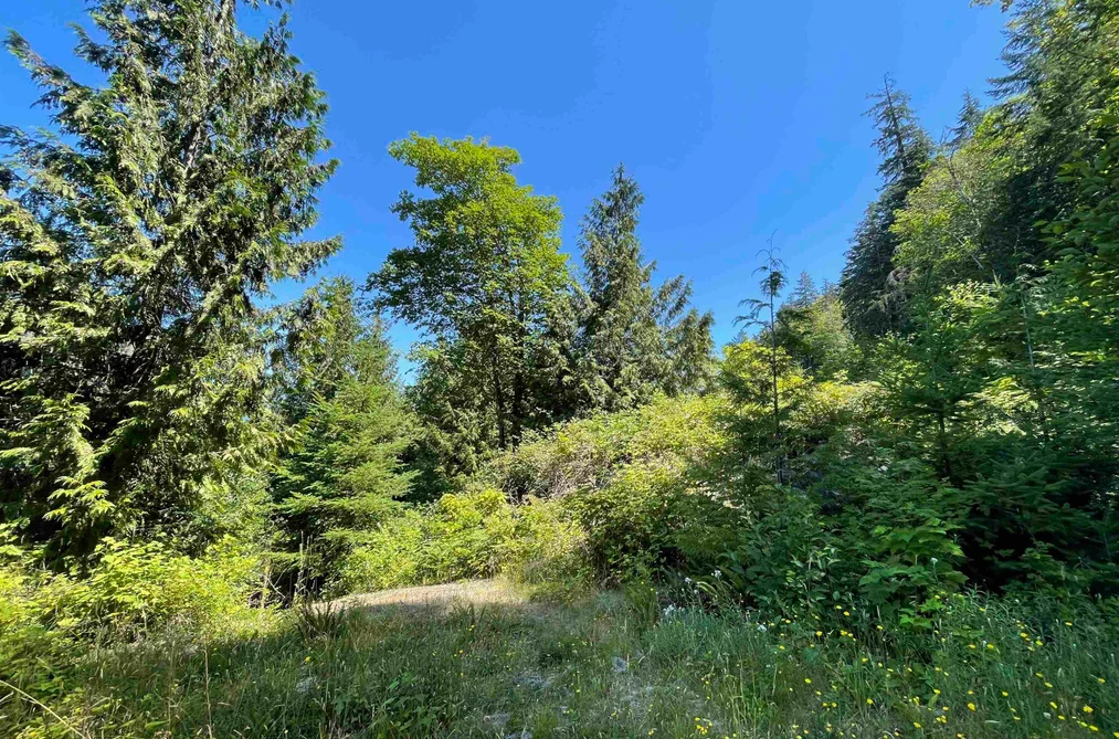 5232 CECIL HILL ROAD, Madeira Park BC V0N 2H0, Madeira Park BC — Land for Sale - Photo 7