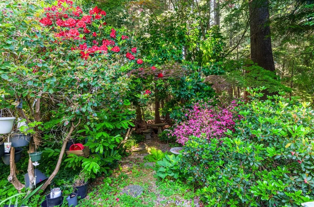 5261 CLIFFRIDGE AVENUE, North Vancouver BC V7R 3V2, North Vancouver BC — Residential for Sale — Photo 21 of 25