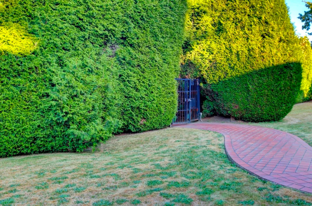 5275 GRANVILLE STREET, Vancouver BC V6M 3B9, Vancouver BC — Land for Sale - Photo 5