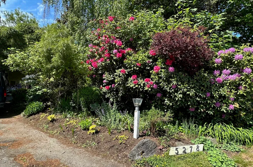 House for sale at 5278 Belair Drive Delta British Columbia - MLS: R3124197