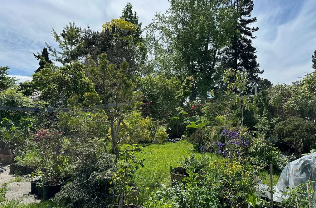 5278 BELAIR DRIVE, Delta BC V4M 2E4, Delta BC — Residential for Sale - Photo 4