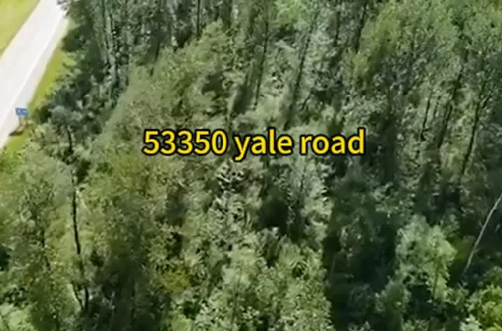 Property for sale at 53350 Yale Road Rosedale British Columbia - MLS: R2985120