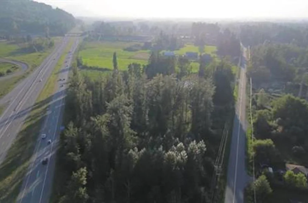 53350 YALE ROAD, Rosedale BC V0X 1X1, Rosedale BC — Land for Sale - Photo 4