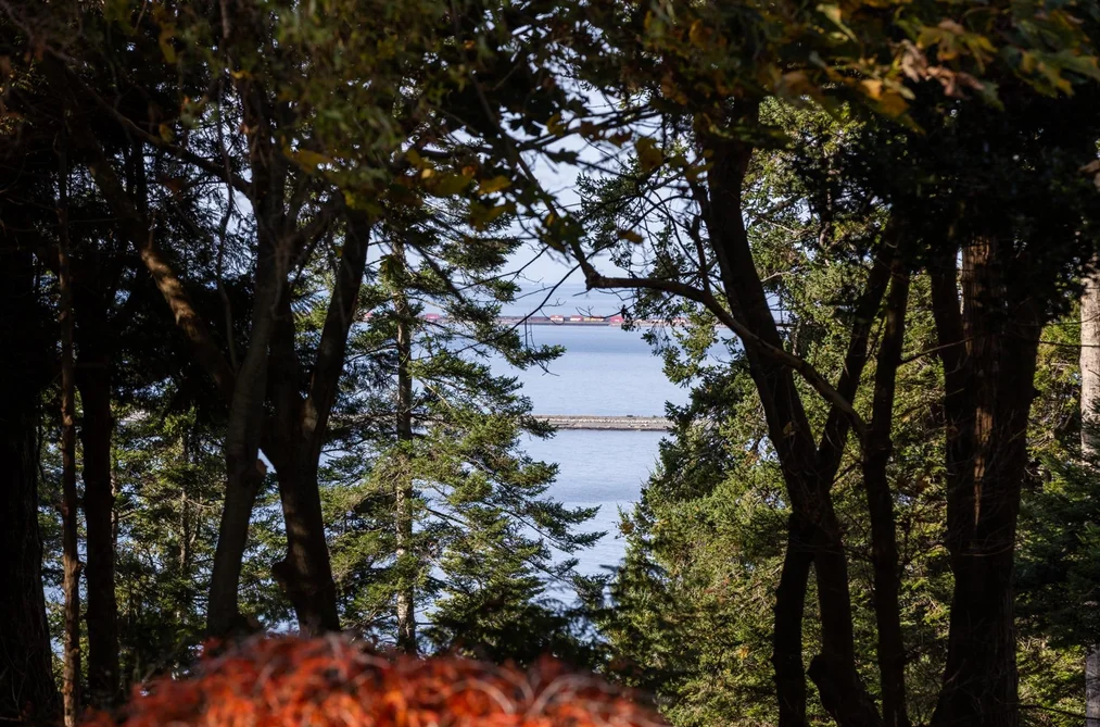 535 ENGLISH BLUFF ROAD, Delta BC V4M 2M9, Delta BC — Residential for Sale - Photo 4