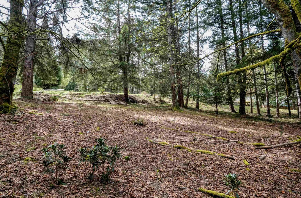 548 DALTON DRIVE, Mayne Island BC V0N 2J2, Mayne Island BC — Land for Sale - Photo 2