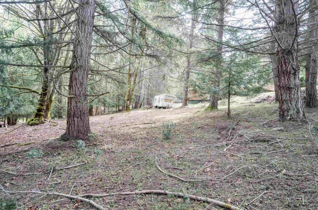 548 DALTON DRIVE, Mayne Island BC V0N 2J2, Mayne Island BC — Land for Sale - Photo 3