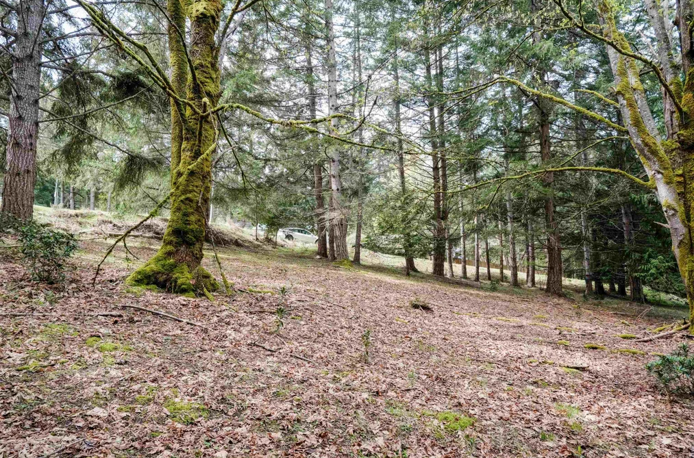 548 DALTON DRIVE, Mayne Island BC V0N 2J2, Mayne Island BC — Land for Sale - Photo 5