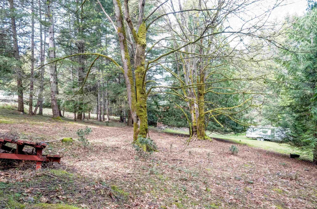 548 DALTON DRIVE, Mayne Island BC V0N 2J2, Mayne Island BC — Land for Sale - Photo 7