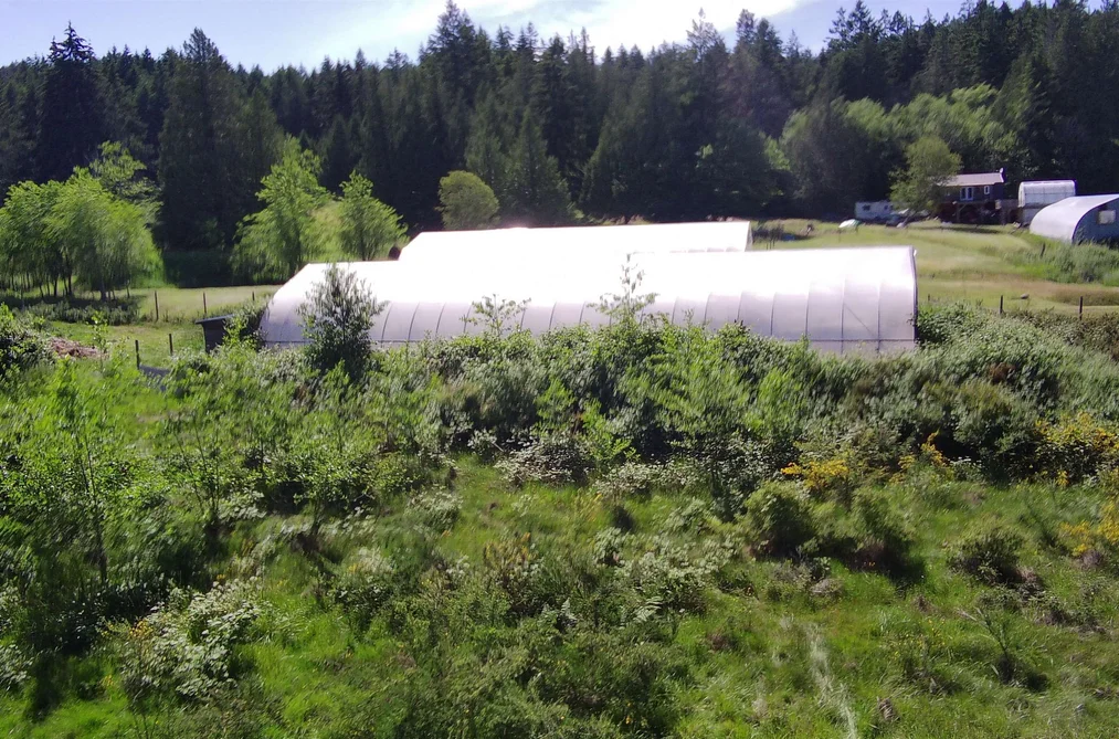 556 E BLUFF ROAD, Galiano Island BC V0N 1P0, Galiano Island BC — Land for Sale - Photo 4