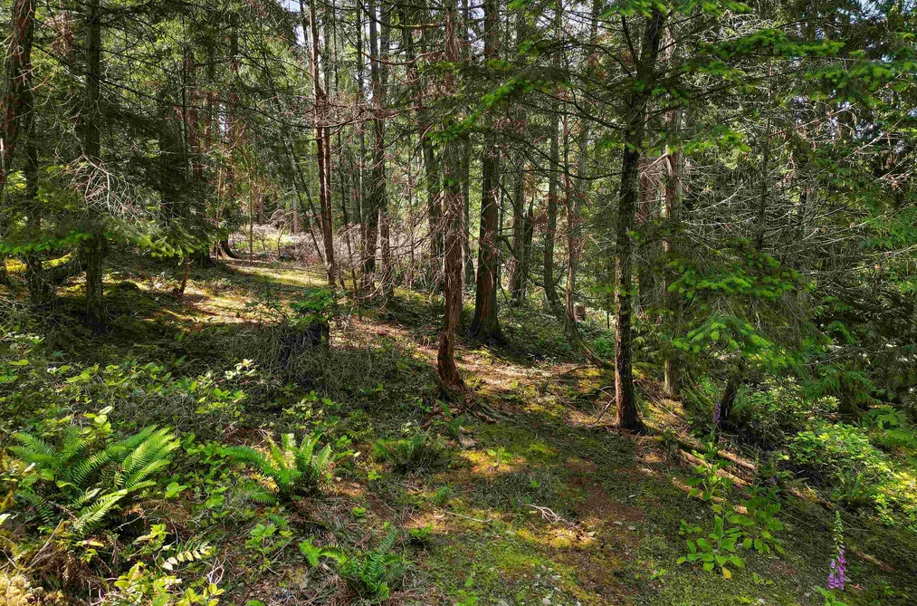 Property for sale at 568 Aya Reach Road Mayne Island British Columbia - MLS: R3009388