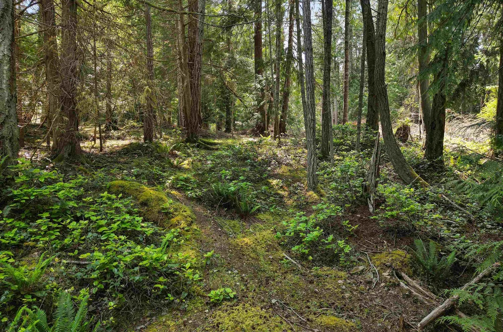 568 AYA REACH ROAD, Mayne Island BC V0N 2J1, Mayne Island BC — Land for Sale - Photo 2