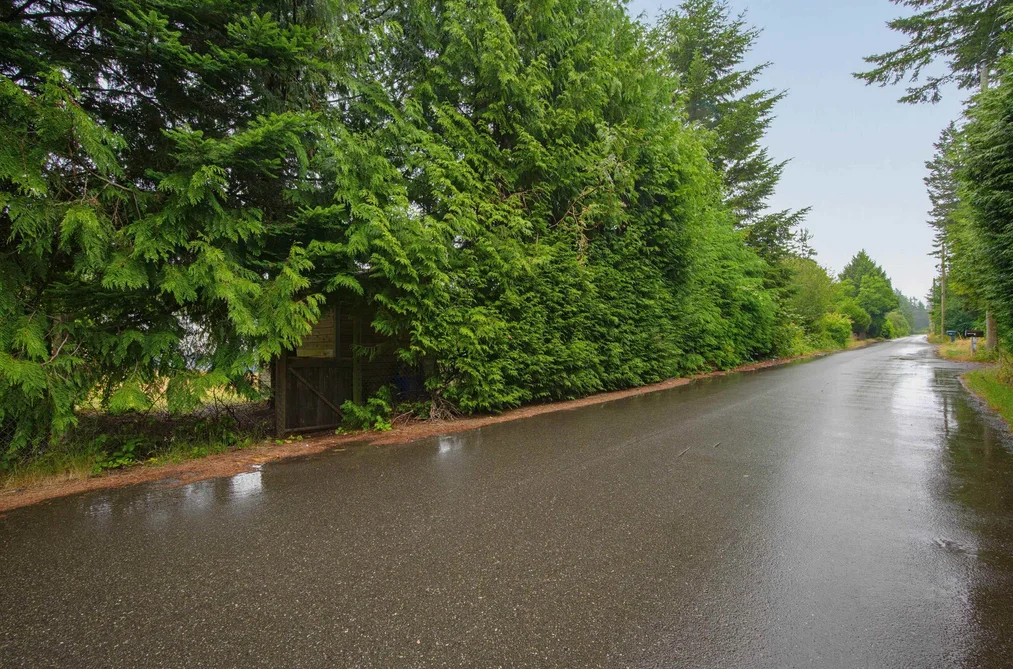 40 3031 200 STREET, Langley BC V2Z 1N5, Langley BC — Residential for Sale — Photo 30 of 33