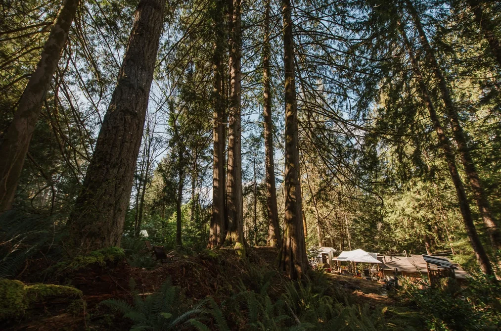 5735 NAYLOR ROAD, Sechelt BC V7Z 0C7, Sechelt BC — Residential for Sale - Photo 6