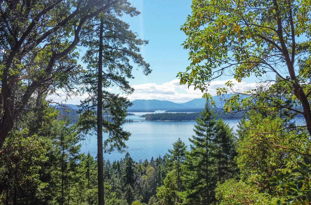 House for sale at 580 340 Manastee Road Galiano Island British Columbia - MLS: R3140565