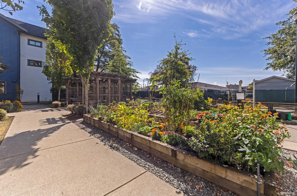 5835 Wales Street, Vancouver, BC - MLS: R3164842 - Photo 37 5835 Wales Street, Vancouver, BC - MLS: R3164842 - Photo 37