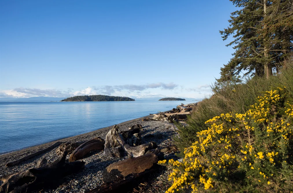 5845 SUNSHINE COAST HIGHWAY, Sechelt BC V0N 3A1, Sechelt BC — Land for Sale - Photo 2