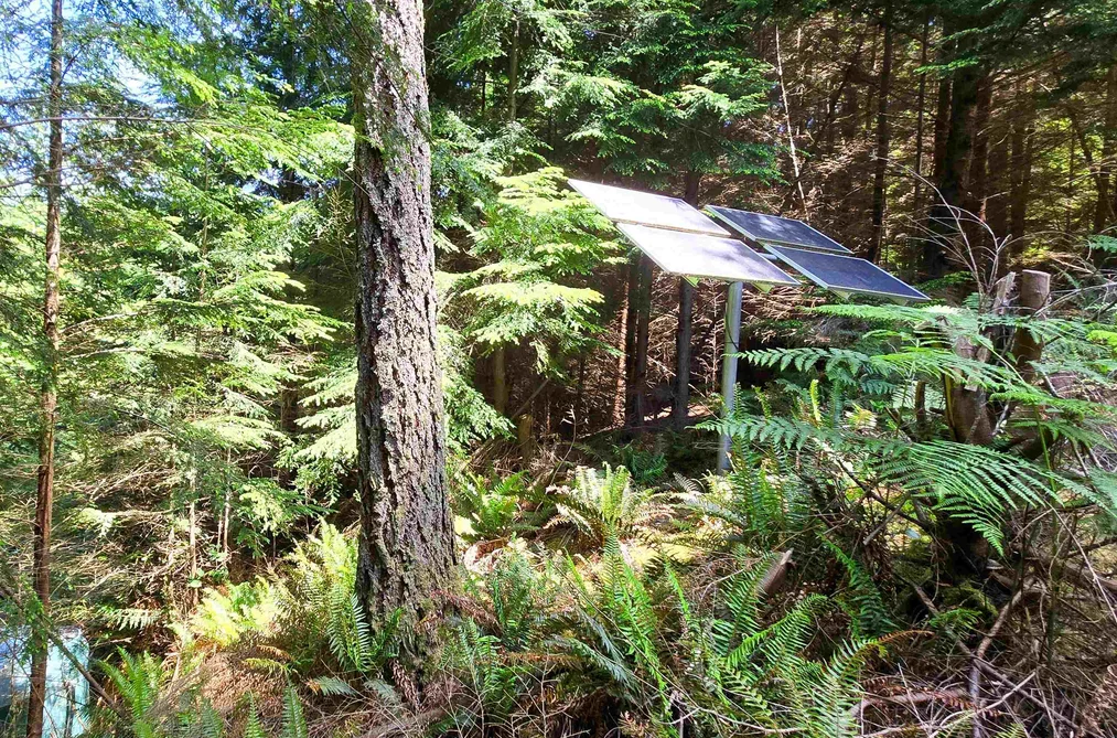 585 ERRINGTON WAY, Gambier Island BC V0N 1V0, Gambier Island BC — Residential for Sale — Photo 35 of 40