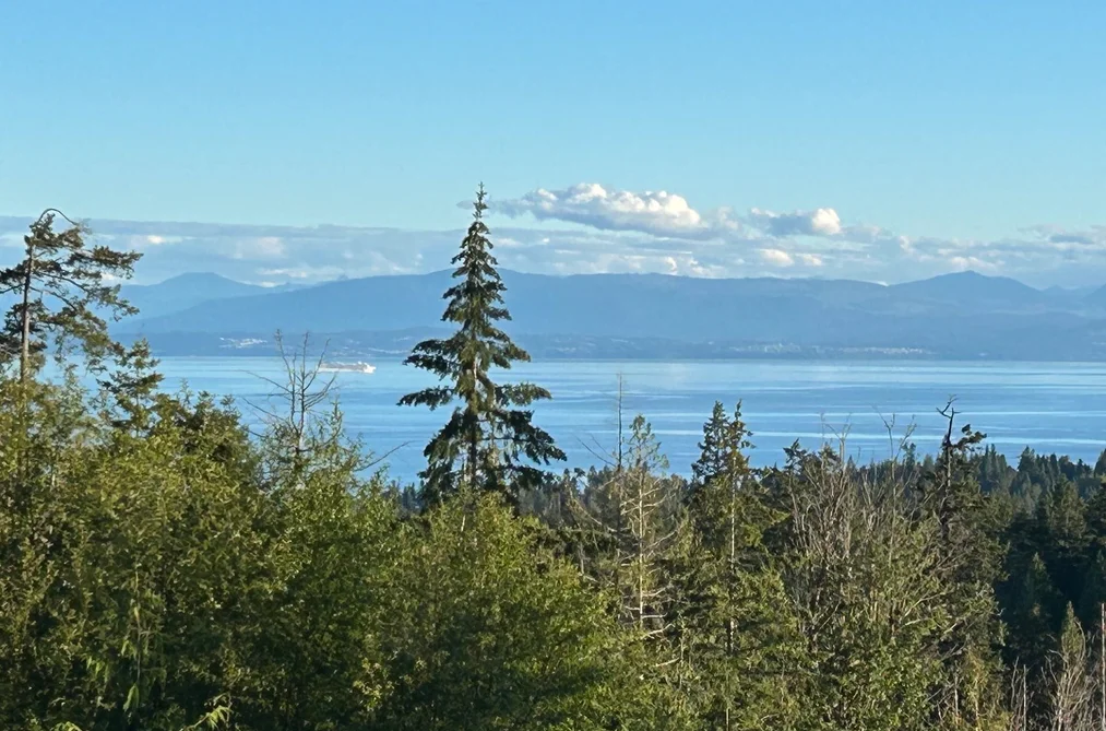 6016 LEANING TREE ROAD, Halfmoon Bay BC V7Z 1C2, Halfmoon Bay BC — Land for Sale - Photo 2