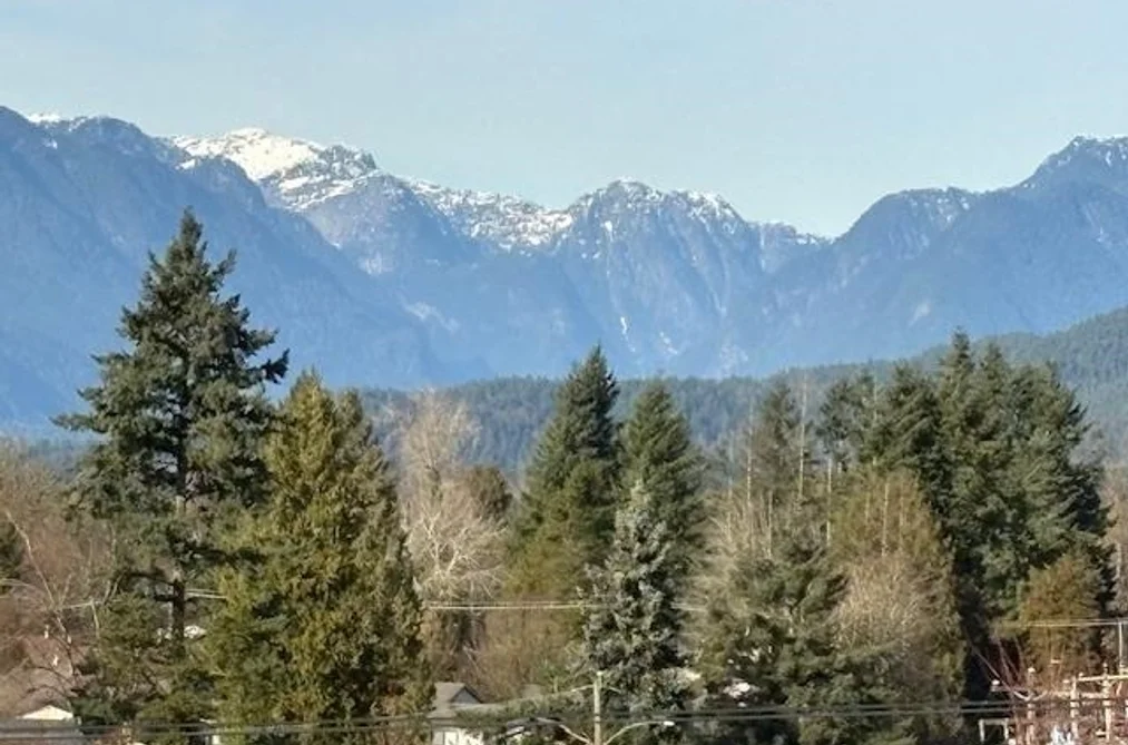 603 11980 222 STREET, Maple Ridge BC V2X 0L8, Maple Ridge BC — Residential for Sale - Photo 5
