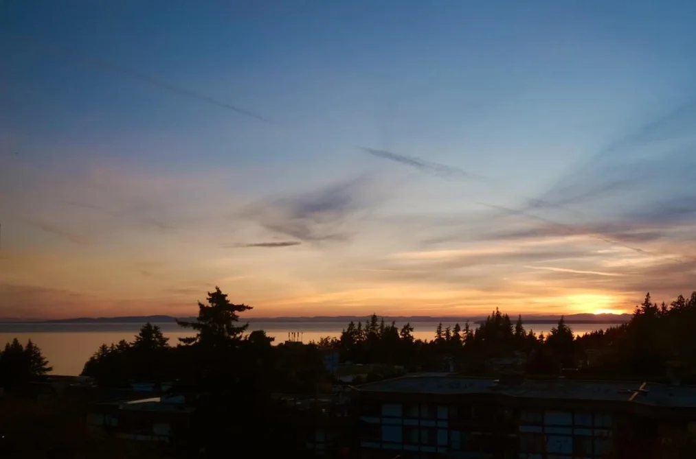 1442 Foster St Unit 603, White Rock, BC - MLS: R3161922