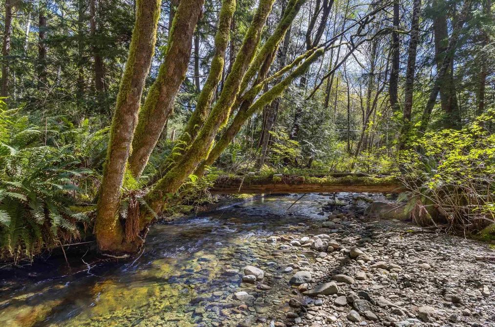 6101 GARDEN BAY ROAD, Madeira Park BC V0N 2H1, Madeira Park BC — Residential for Sale - Photo 2