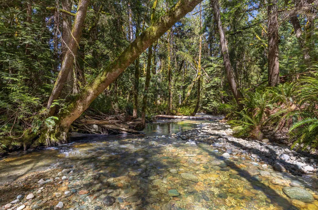 6101 GARDEN BAY ROAD, Madeira Park BC V0N 2H1, Madeira Park BC — Residential for Sale - Photo 3