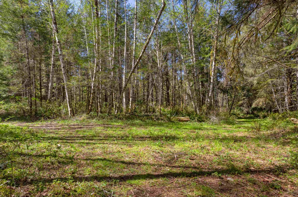 6101 GARDEN BAY ROAD, Madeira Park BC V0N 2H1, Madeira Park BC — Residential for Sale - Photo 6