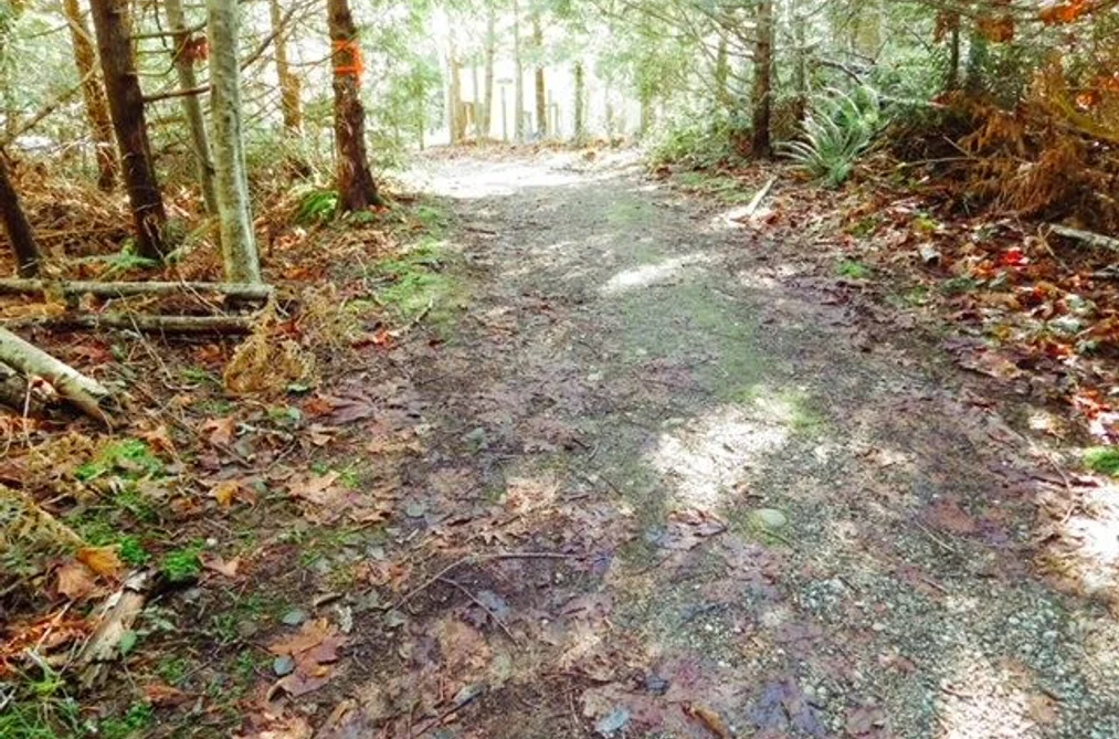 6151 HARBOUR WAY, Sechelt BC V0N 3A5, Sechelt BC — Land for Sale - Photo 3