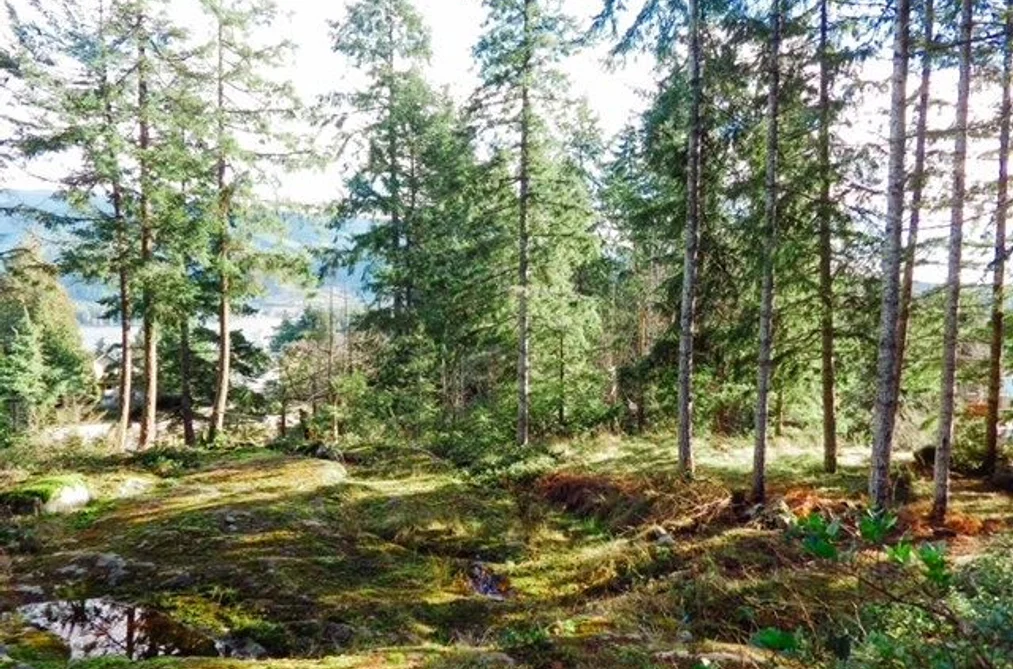 6151 HARBOUR WAY, Sechelt BC V0N 3A5, Sechelt BC — Land for Sale - Photo 4