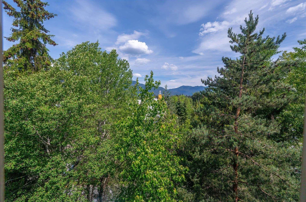 616 4295 BLACKCOMB WAY, Whistler BC V8E 0X2, Whistler BC — Residential for Sale — Photo 8 of 18