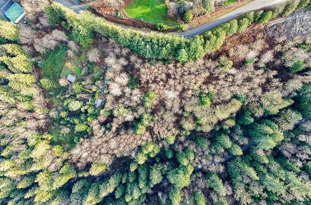6183 RYDER LAKE ROAD, Chilliwack BC V4Z 1E2, Chilliwack BC — Land for Sale - Photo 7