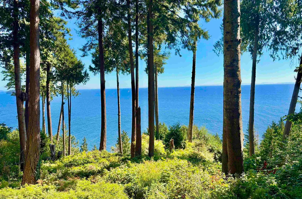 House for sale at 61/Lot3 Larson Road Gibsons British Columbia - MLS: R3169694